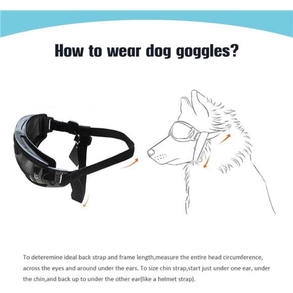 Dog Sunglasses Dog Goggles Adjustable Strap for Travel Skiing and Anti-Fog - Picture 5 of 7